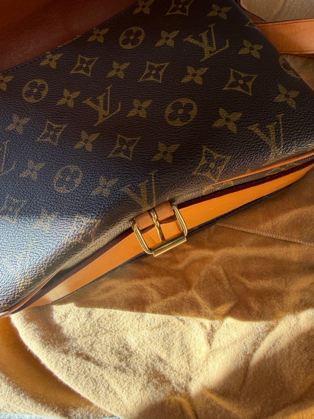 louis vuitton Monogram Cartouchiere GM - Picture 13 of 14